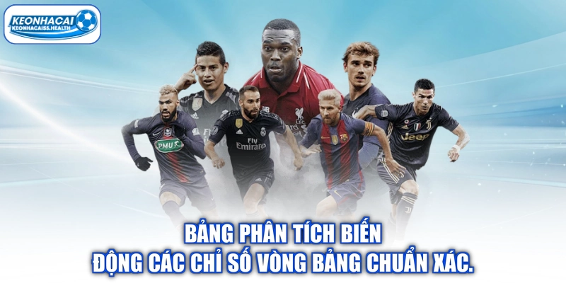 Bảng phân tích biến động các chỉ số vòng bảng chuẩn xác.
