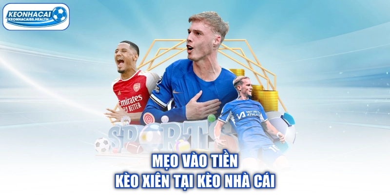 Tip vào tiền chó tại nhà cái