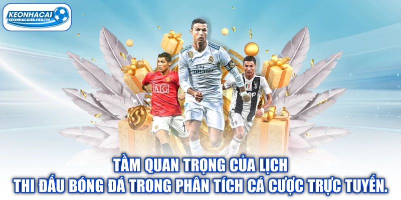 Tầm quan trọng của lịch thi đấu bóng đá trong phân tích cá trực tuyến.