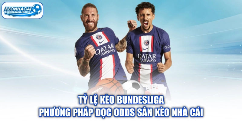 Tỷ Lệ Kèo Bundesliga Phương Pháp Đọc Odds Sân Kèo Nhà Cái