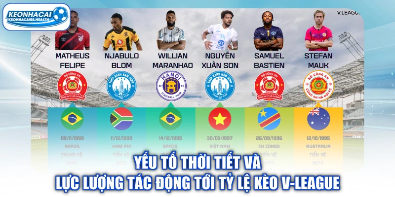 Yếu tố tiết kiệm và năng lượng hoạt động theo tỷ lệ V-League